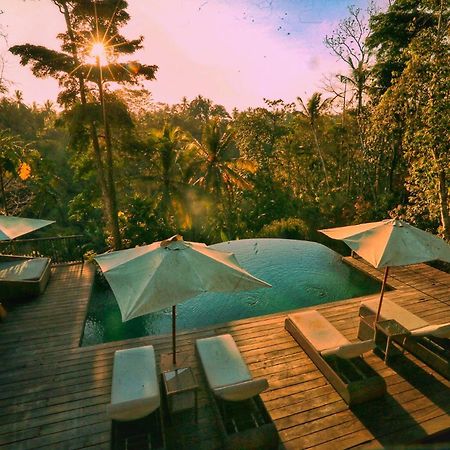Angsoka Bungalow Ubud Eksteriør bilde