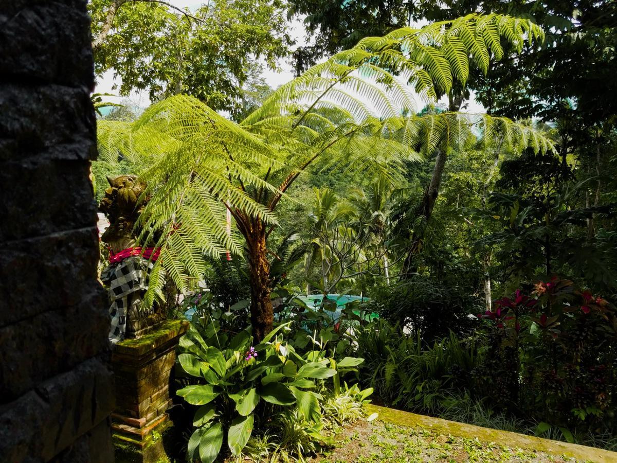Angsoka Bungalow Ubud Eksteriør bilde