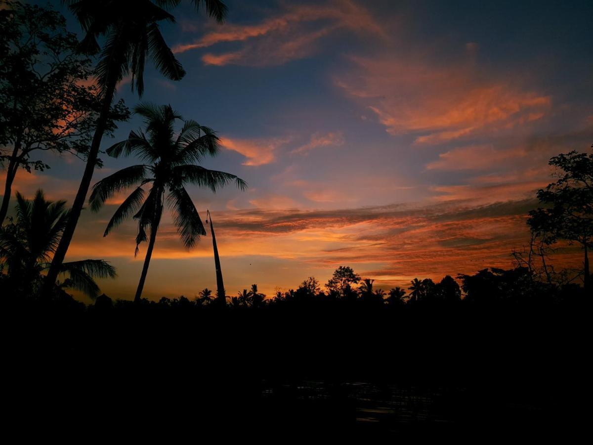 Angsoka Bungalow Ubud Eksteriør bilde