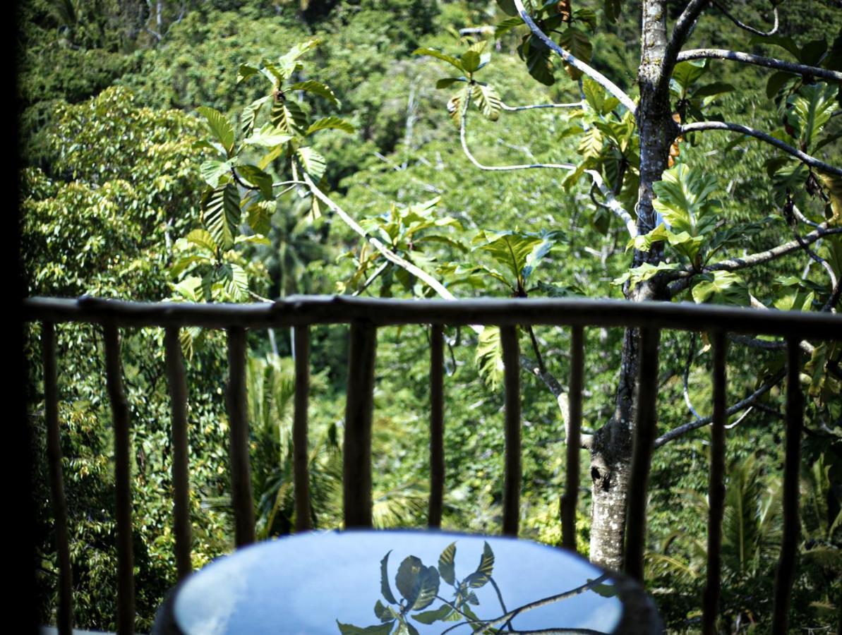 Angsoka Bungalow Ubud Eksteriør bilde