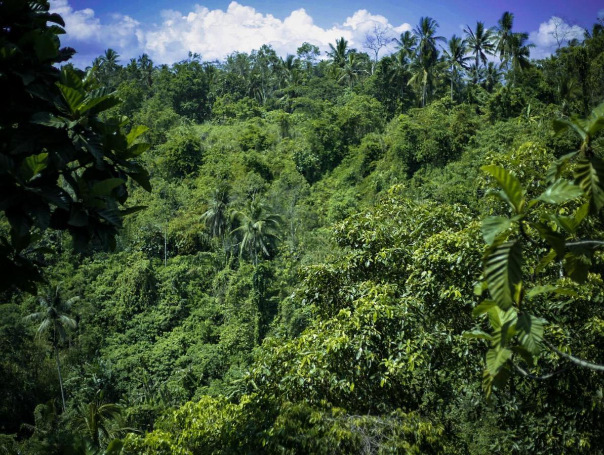 Angsoka Bungalow Ubud Eksteriør bilde