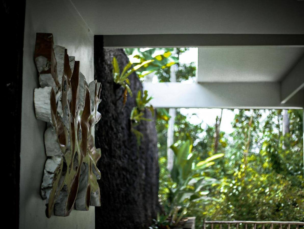 Angsoka Bungalow Ubud Eksteriør bilde