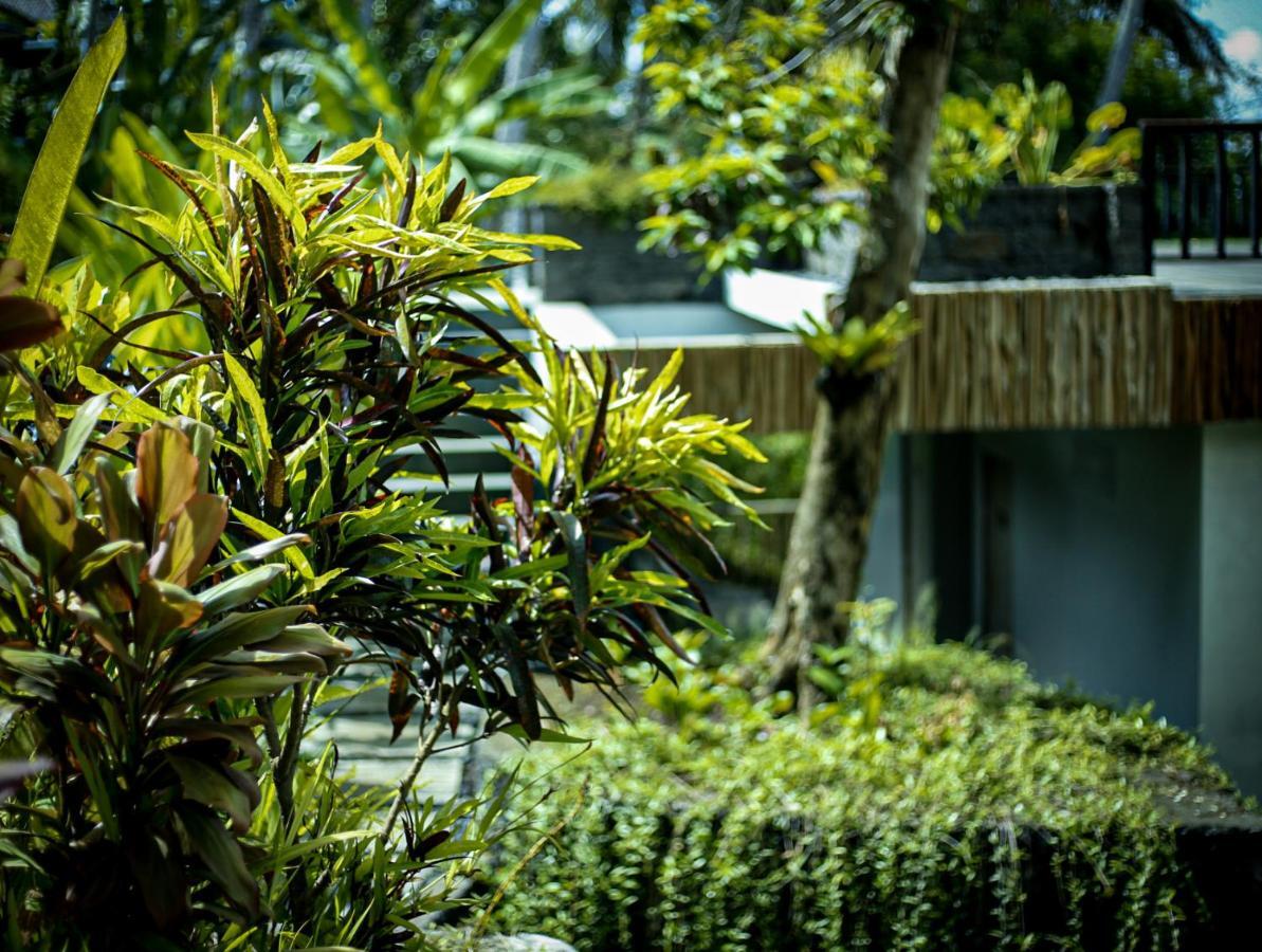 Angsoka Bungalow Ubud Eksteriør bilde