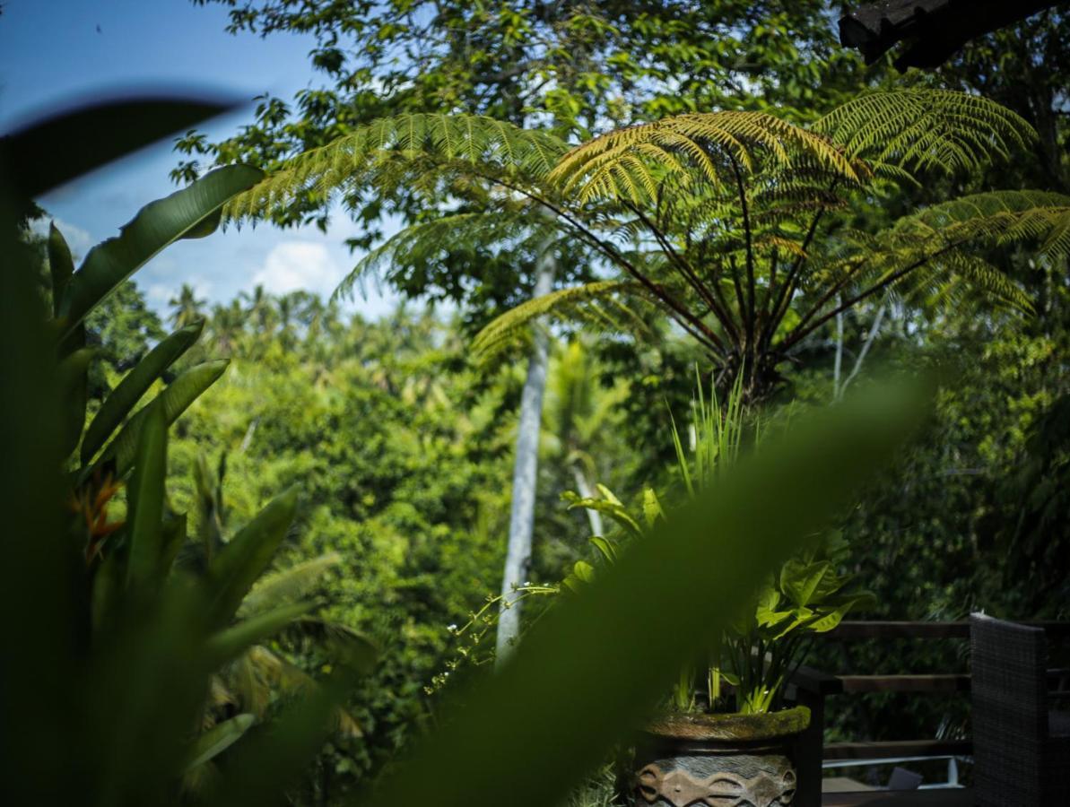 Angsoka Bungalow Ubud Eksteriør bilde