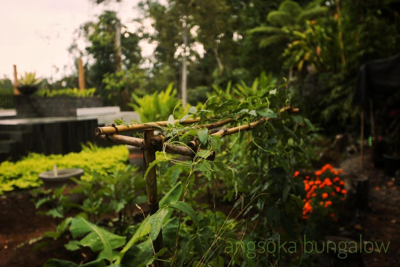 Angsoka Bungalow Ubud Eksteriør bilde