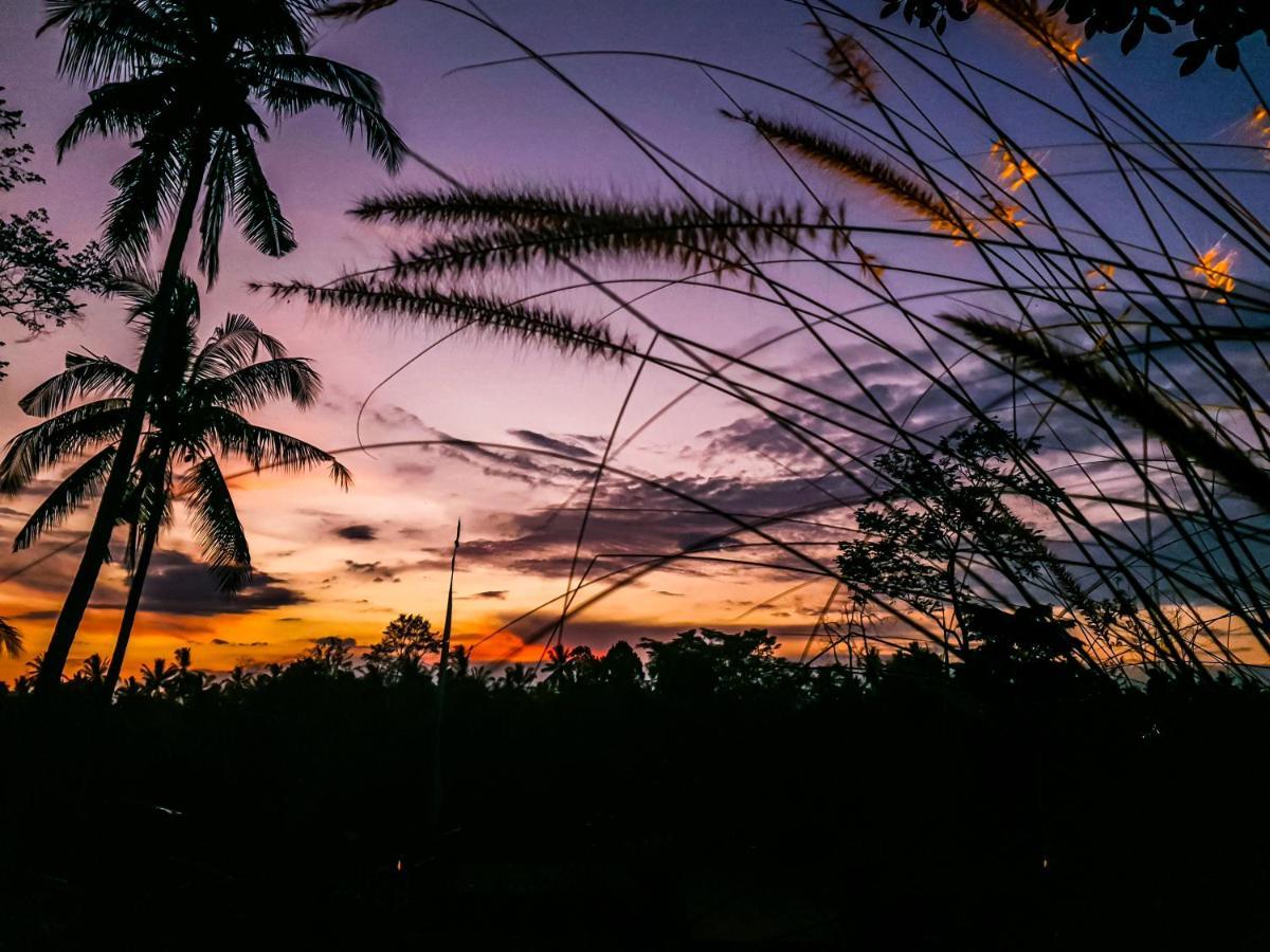 Angsoka Bungalow Ubud Eksteriør bilde